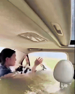 Car Safety Rescue Hammer 2PCS