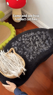 FurEase Grooming Glove