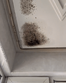 Ultra Clear Stain Remover Spray