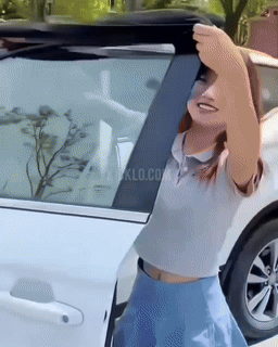 Car Window UV Protector Shield