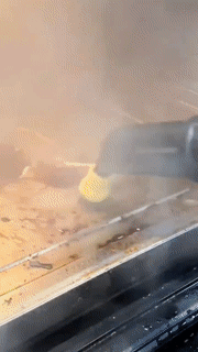 High Power Steam Blaster Pro